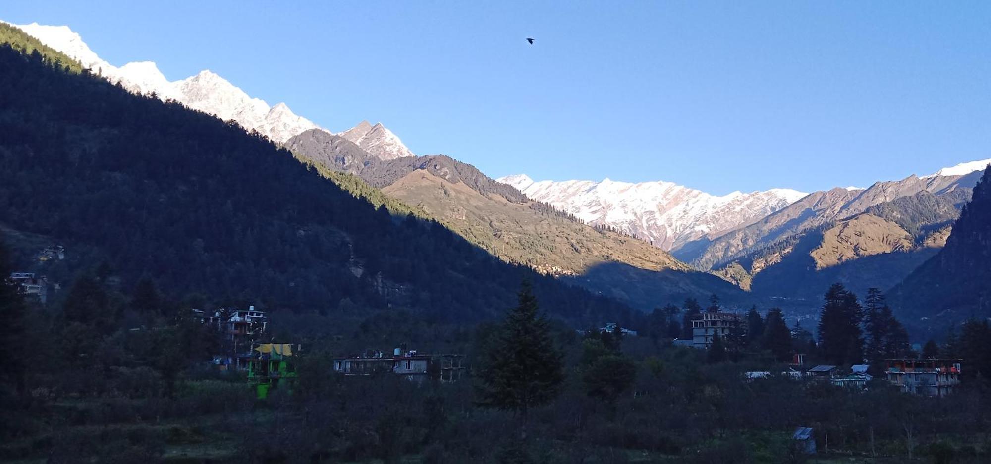 Hotel Apple Flower Manali (Himachal Pradesh) Ngoại thất bức ảnh