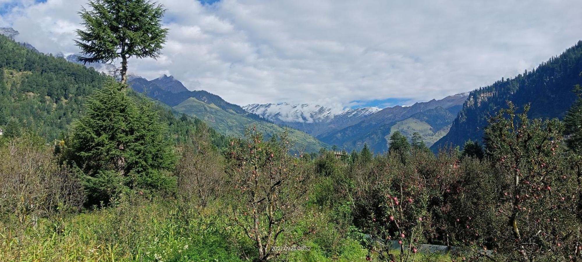 Hotel Apple Flower Manali (Himachal Pradesh) Ngoại thất bức ảnh