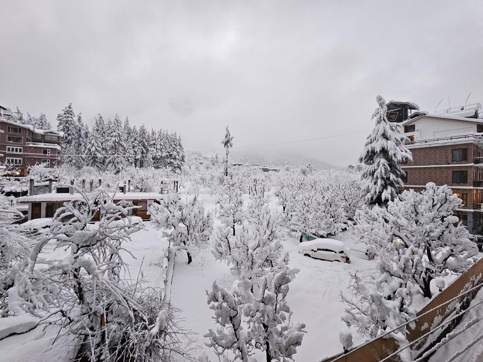 Hotel Apple Flower Manali (Himachal Pradesh) Ngoại thất bức ảnh