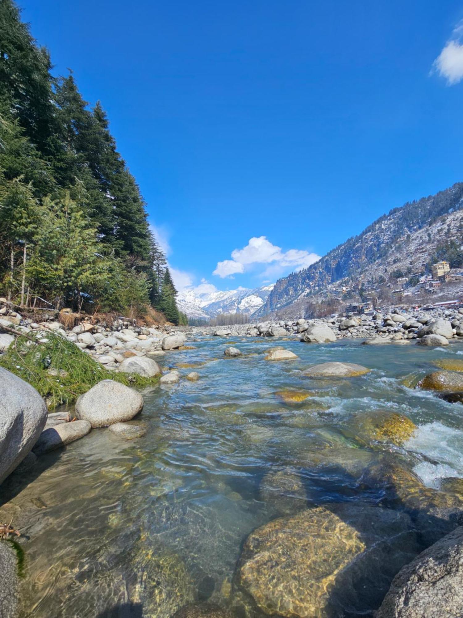 Hotel Apple Flower Manali (Himachal Pradesh) Ngoại thất bức ảnh