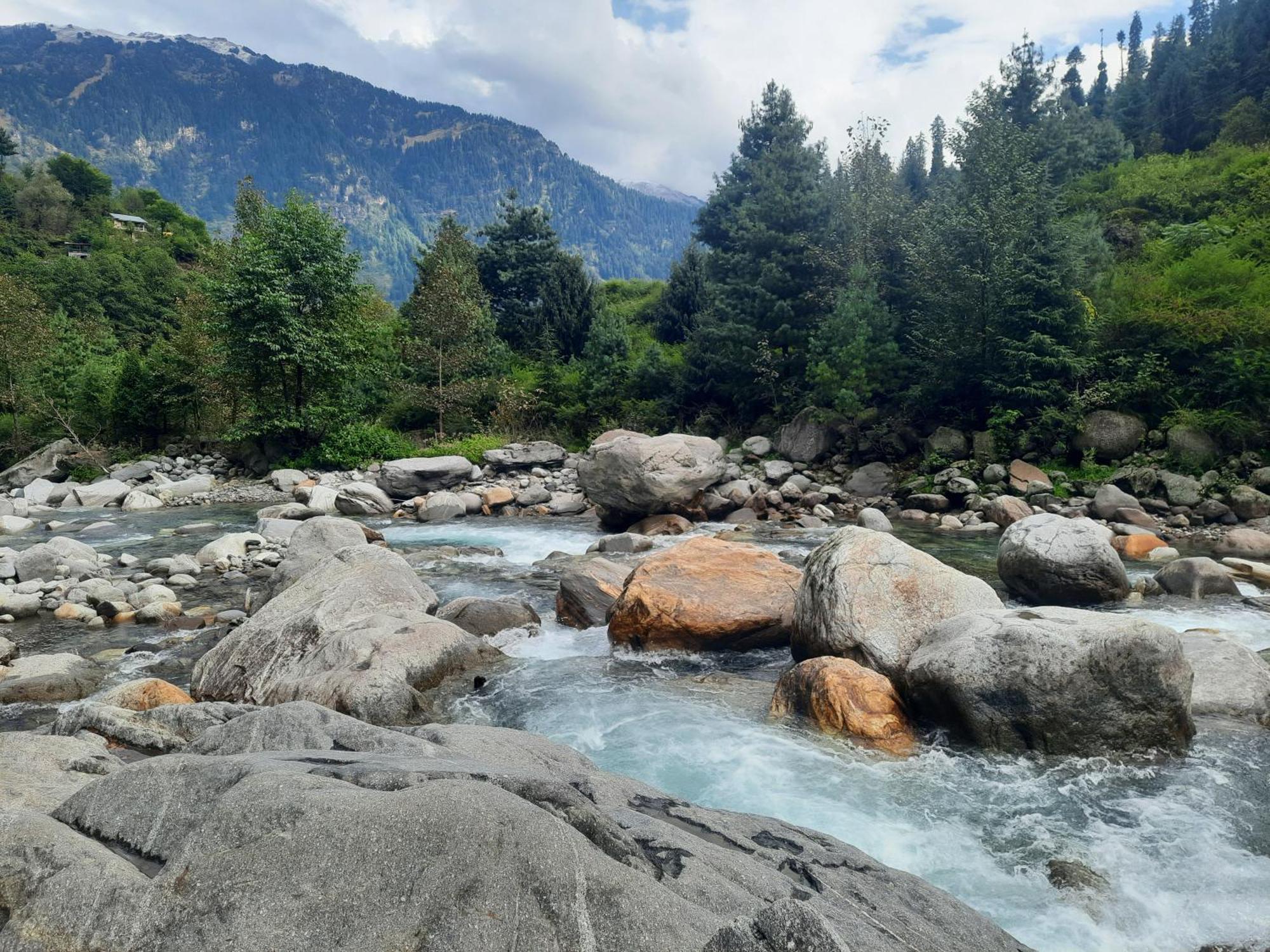 Hotel Apple Flower Manali (Himachal Pradesh) Ngoại thất bức ảnh